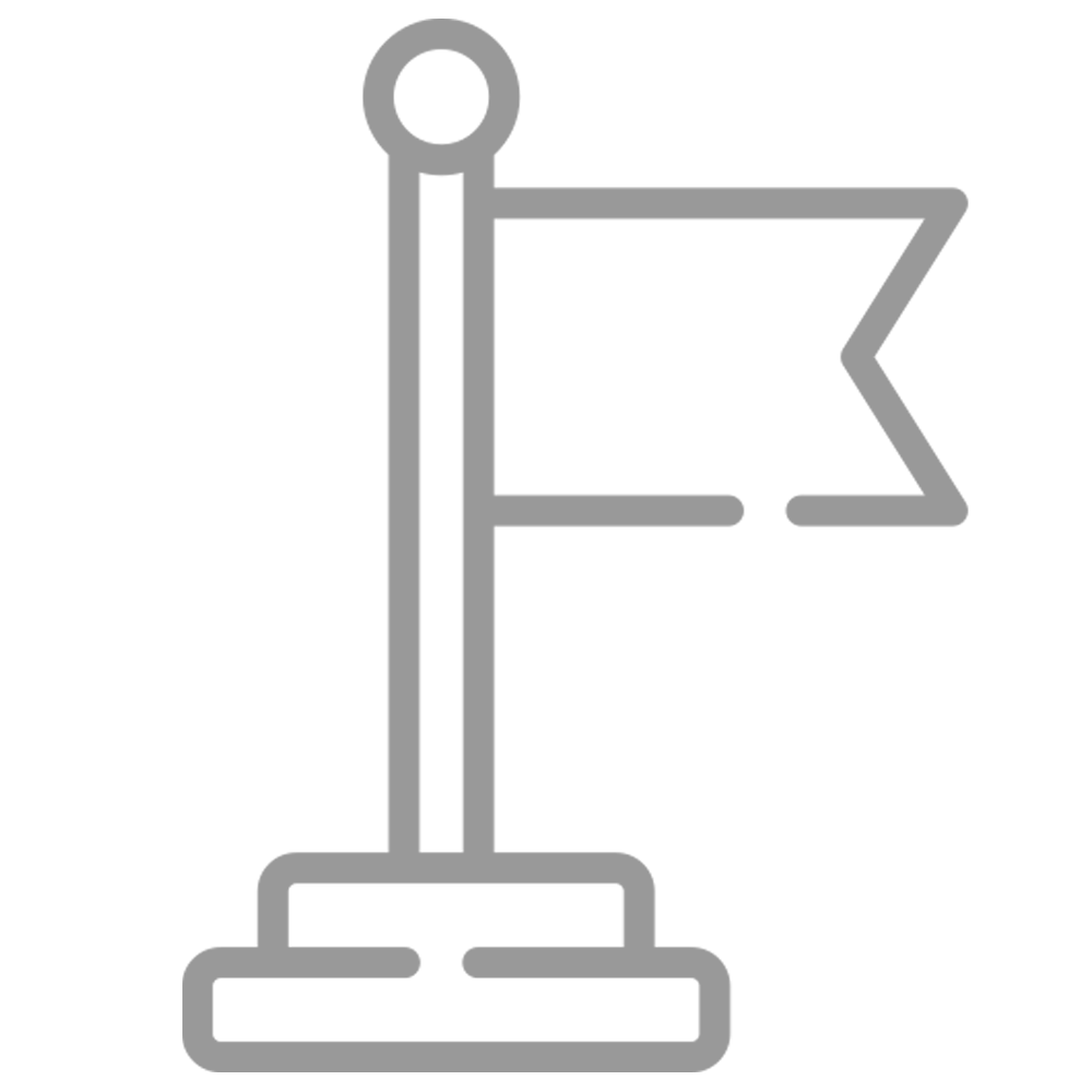 Flag Goal White icon